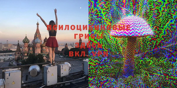 PSILOCYBIN Абинск
