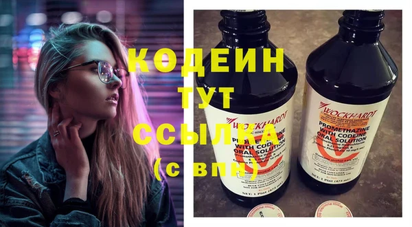 шишки Кодинск