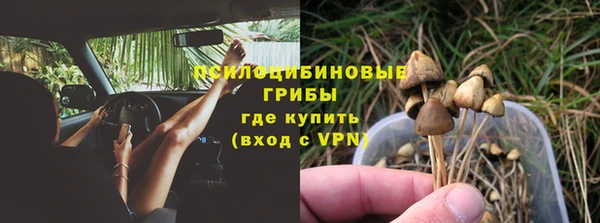 стафф Ладушкин