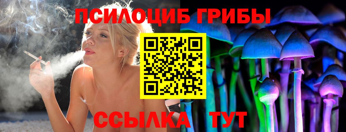 где купить наркотик  Вход с VPN  Гагарин  Псилоцибиновые грибы Cubensis 