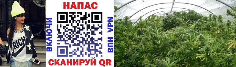 Марихуана Ganja  Гагарин 
